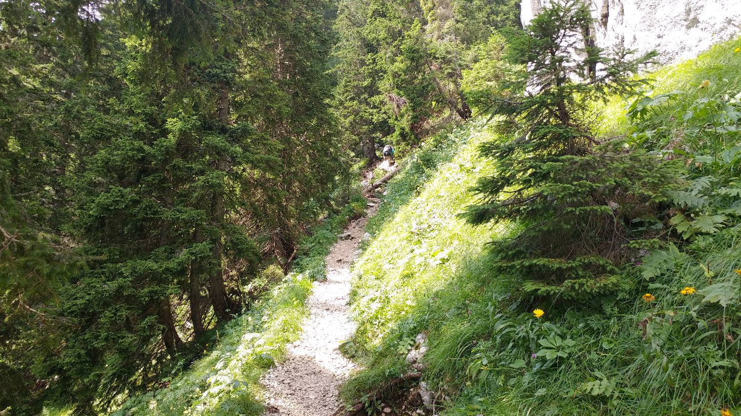 Planinski dom Savica - Triglav slika 34