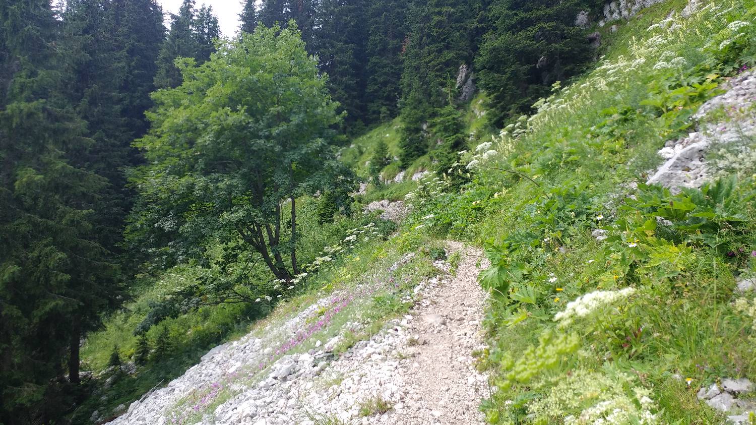 Planinski dom Savica - Dolič slika 30