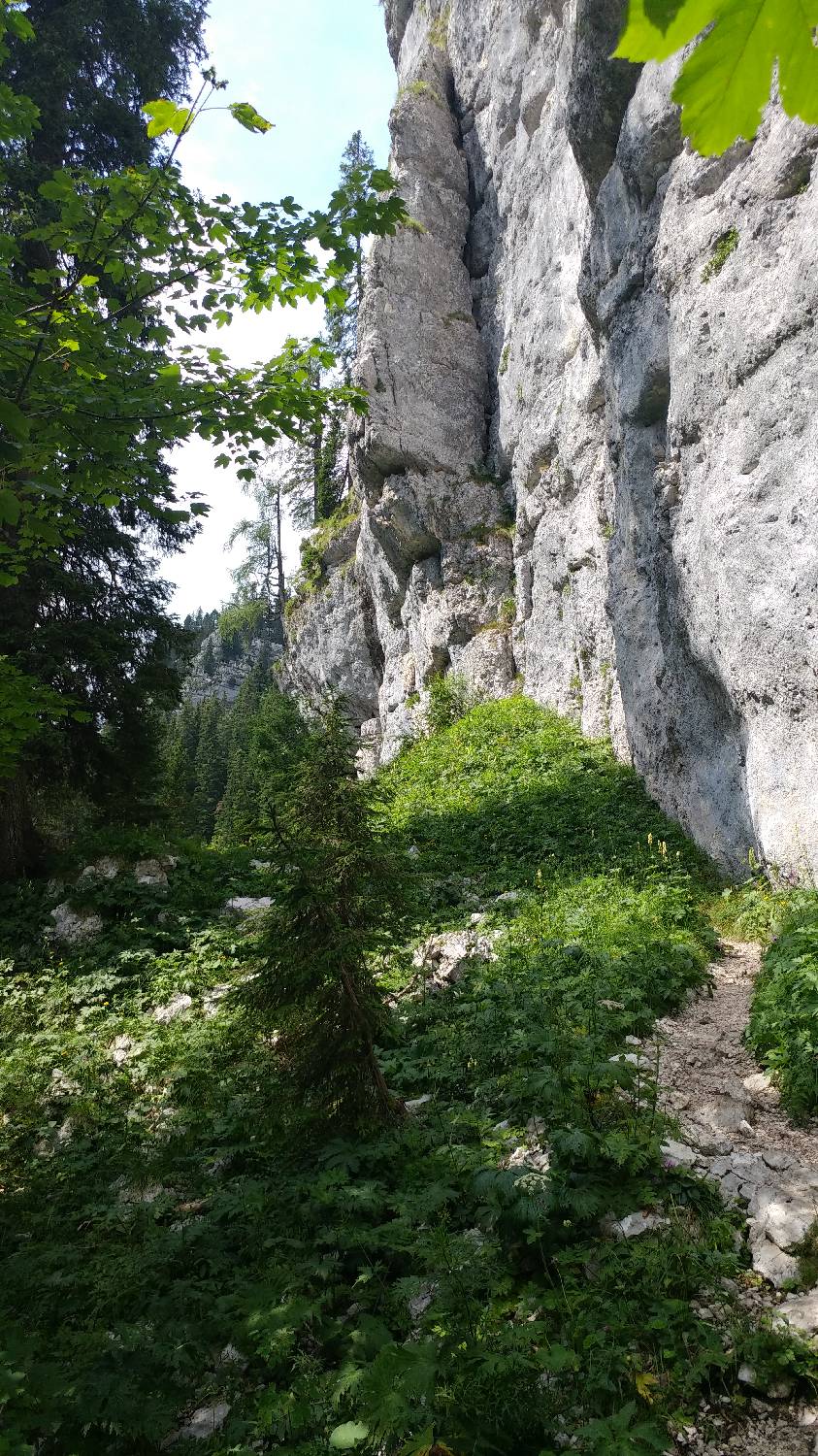 Planinski dom Savica - Dolič slika 29