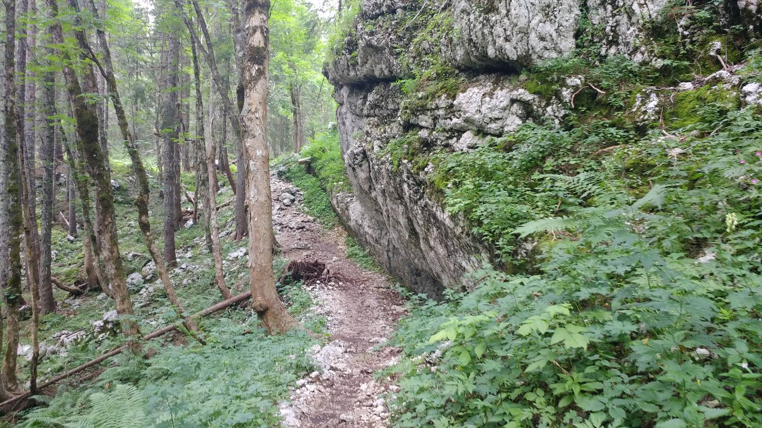 Planinski dom Savica - Triglav slika 29