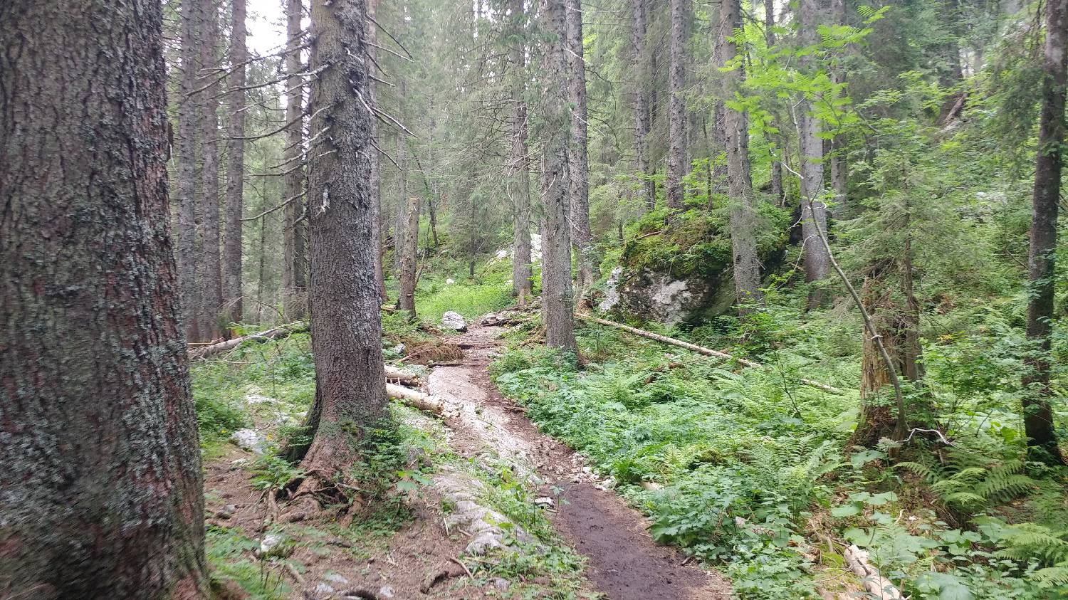 Planinski dom Savica - Dolič slika 26