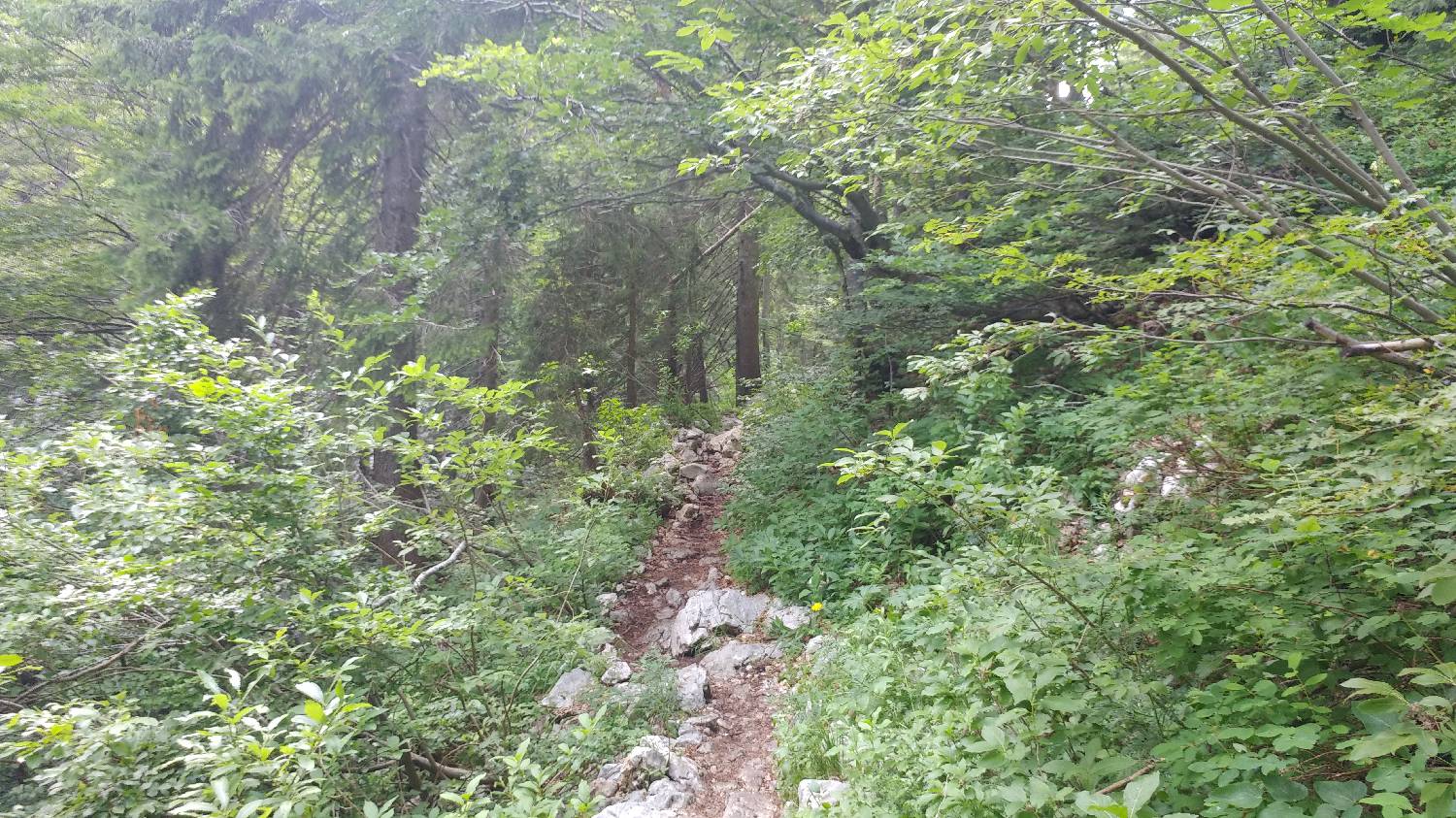 Planinski dom Savica - Triglav slika 27