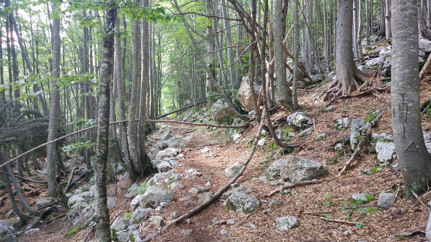 Planinski dom Savica - Dolič slika 23