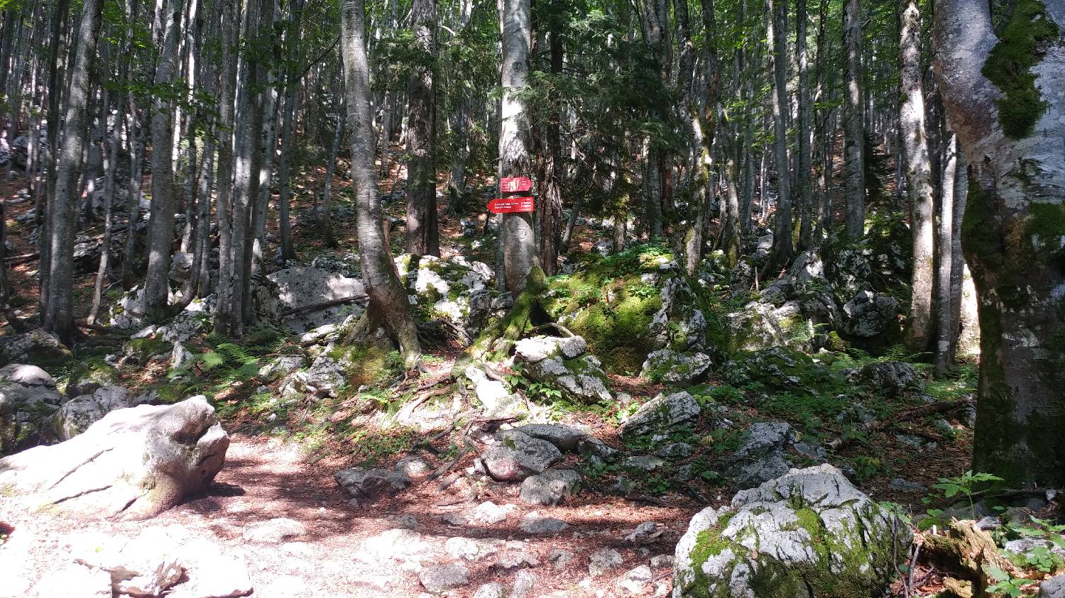 Planinski dom Savica - Triglav slika 23