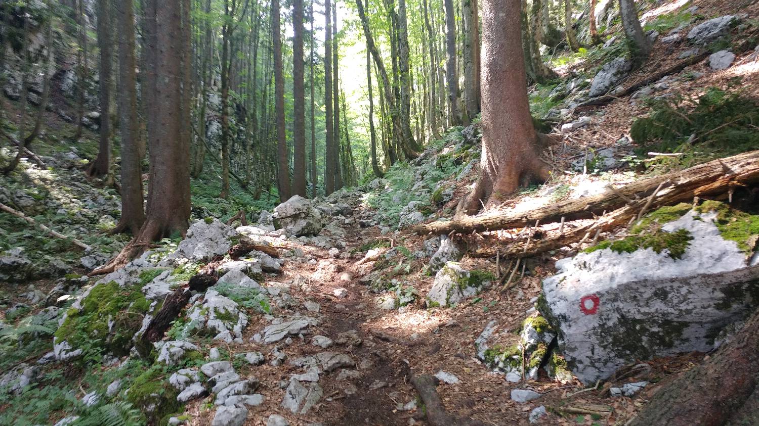 Planinski dom Savica - Triglav slika 22
