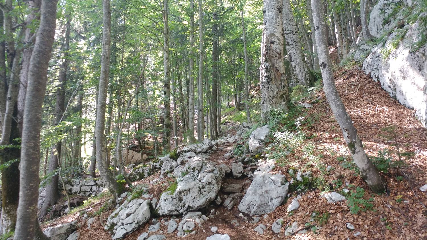 Planinski dom Savica - Dolič slika 20