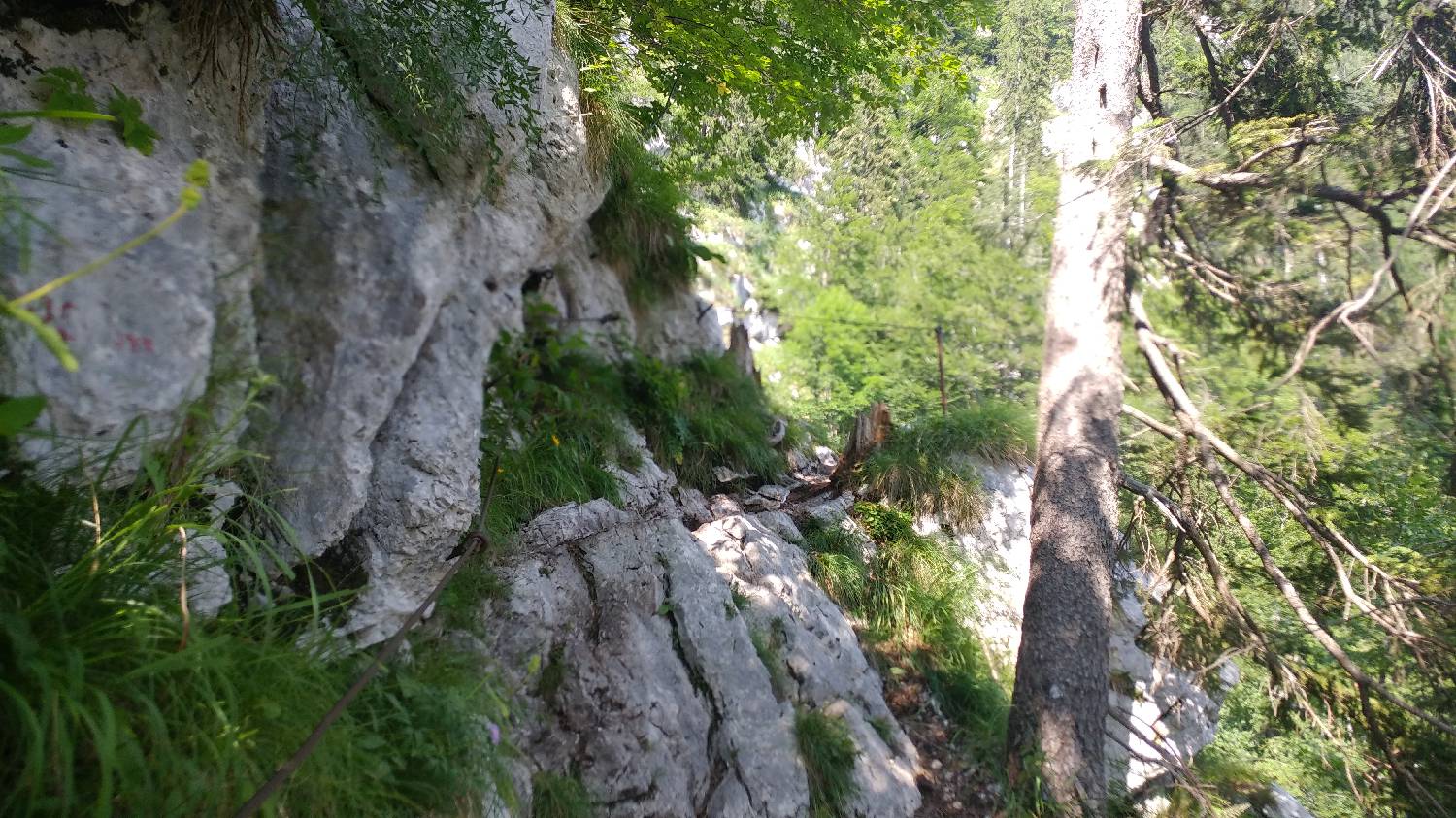 Planinski dom Savica - Triglav slika 19