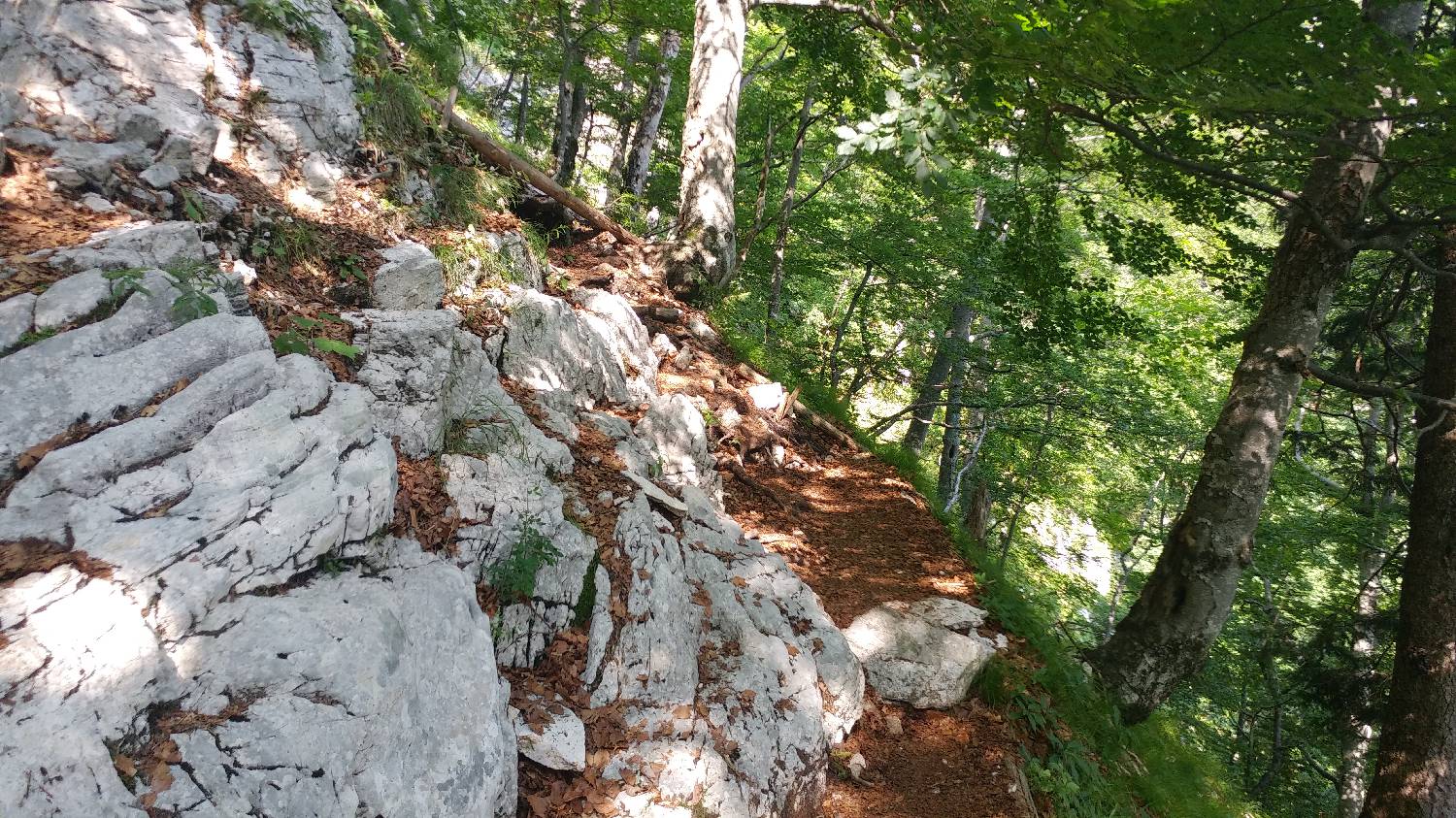 Planinski dom Savica - Dolič slika 16