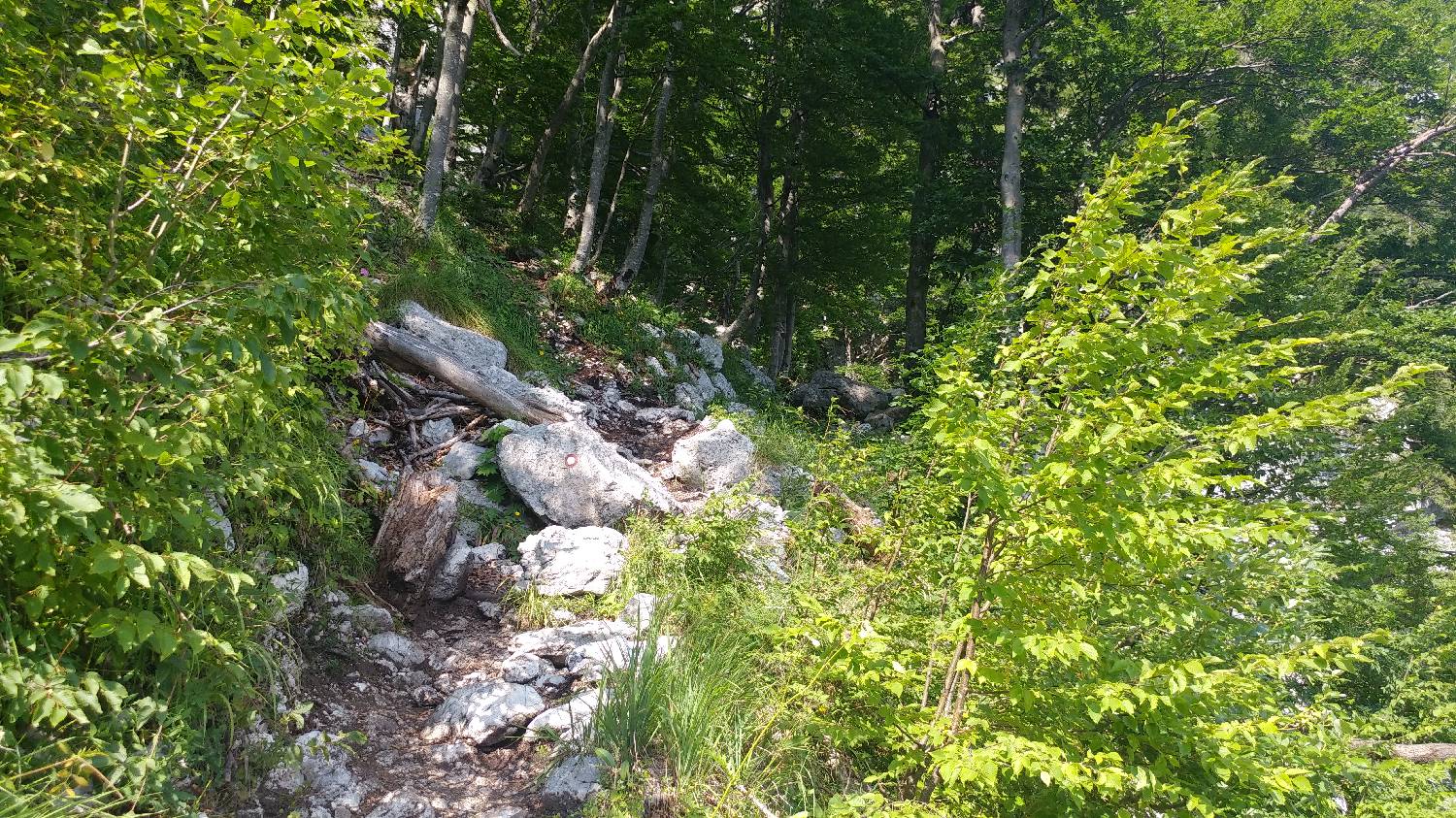 Planinski dom Savica - Dolič slika 14