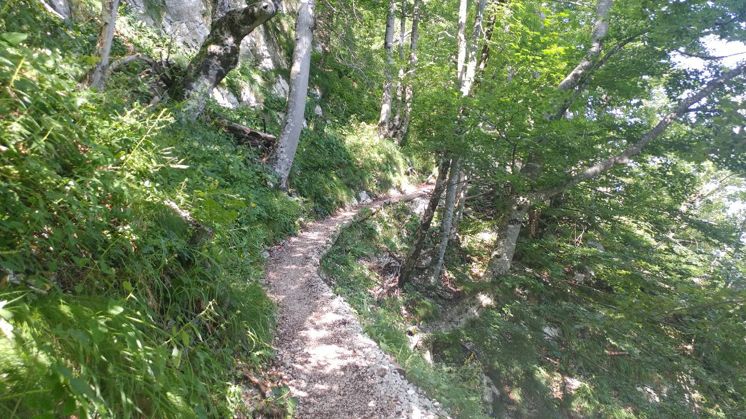 Planinski dom Savica - Triglav slika 11