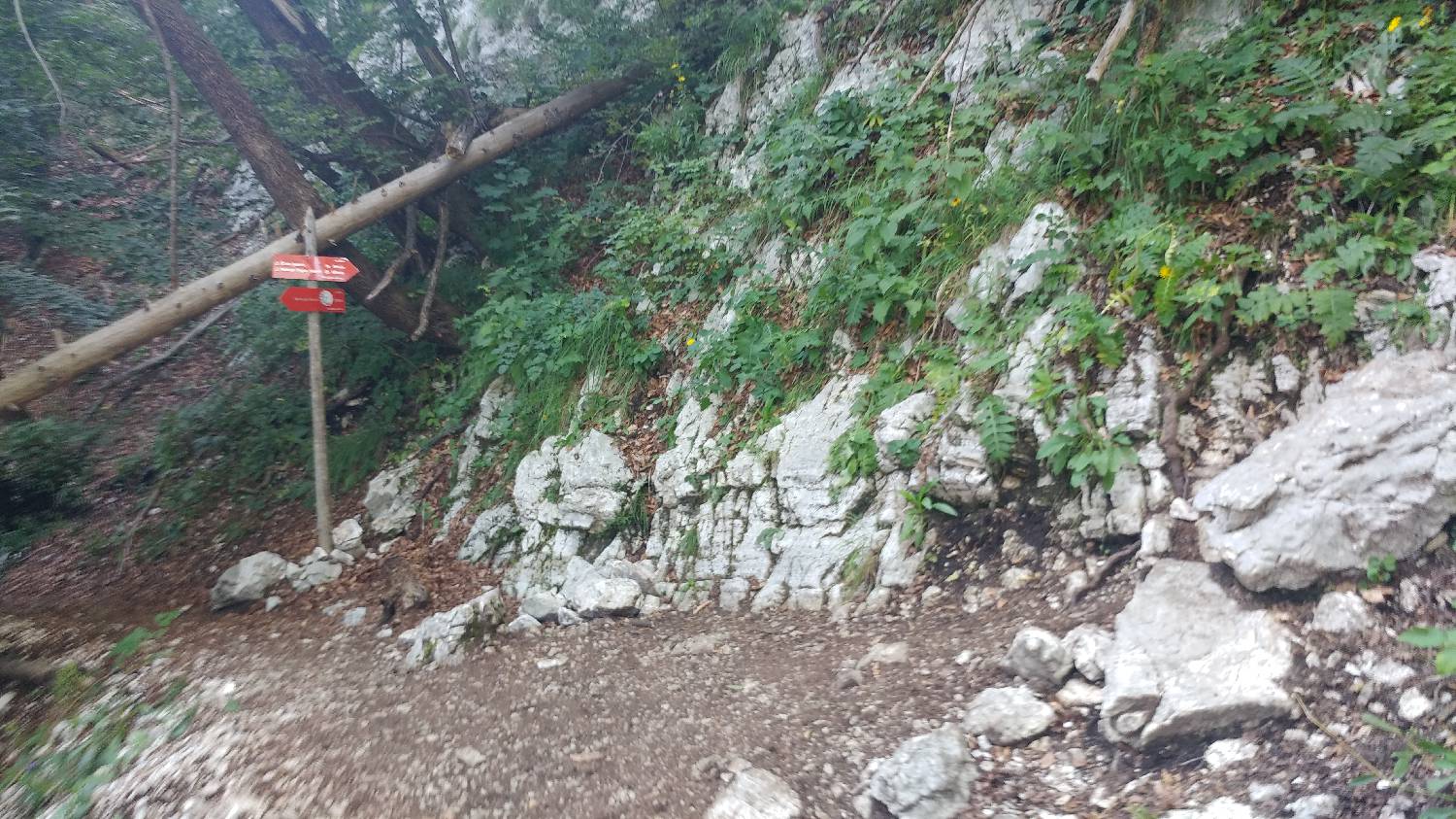 Planinski dom Savica - Dolič slika 10