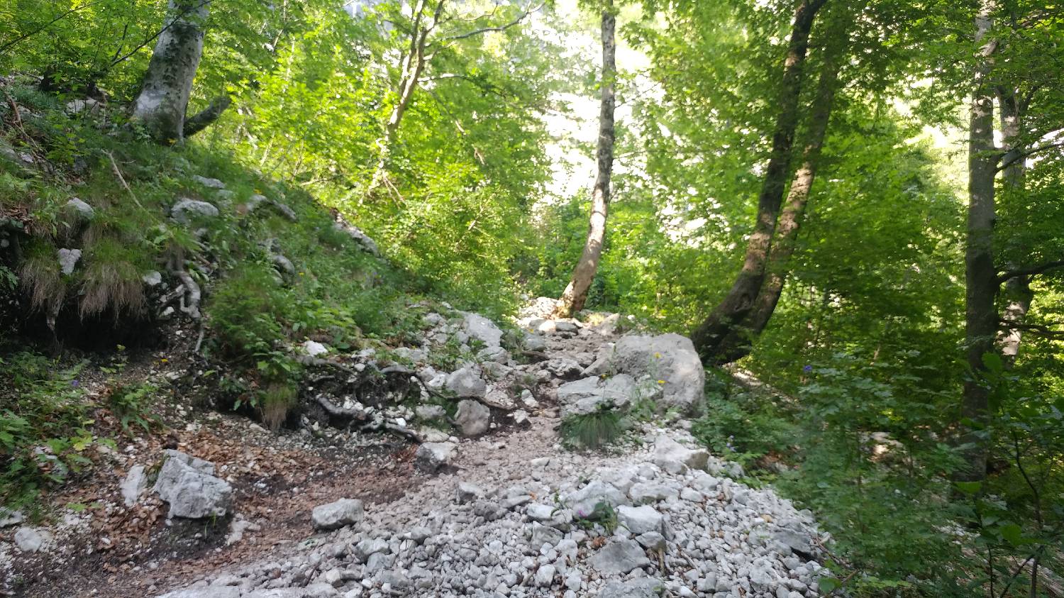 Planinski dom Savica - Triglav slika 9