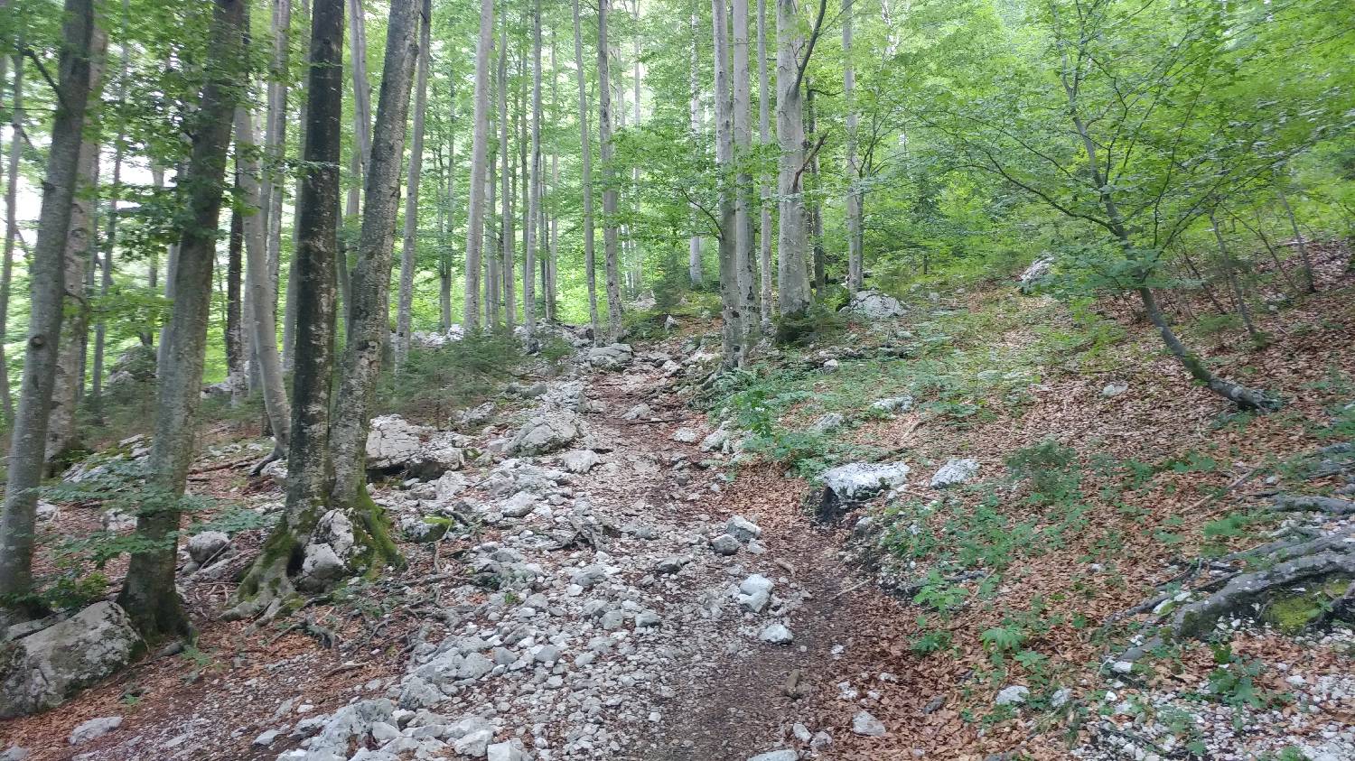 Planinski dom Savica - Dolič slika 8