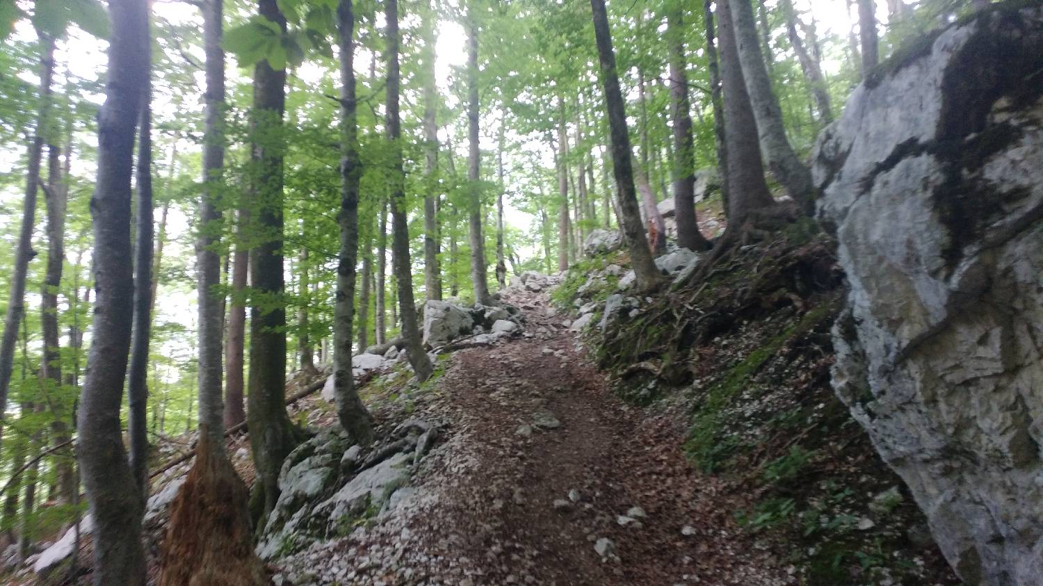 Planinski dom Savica - Dolič slika 7