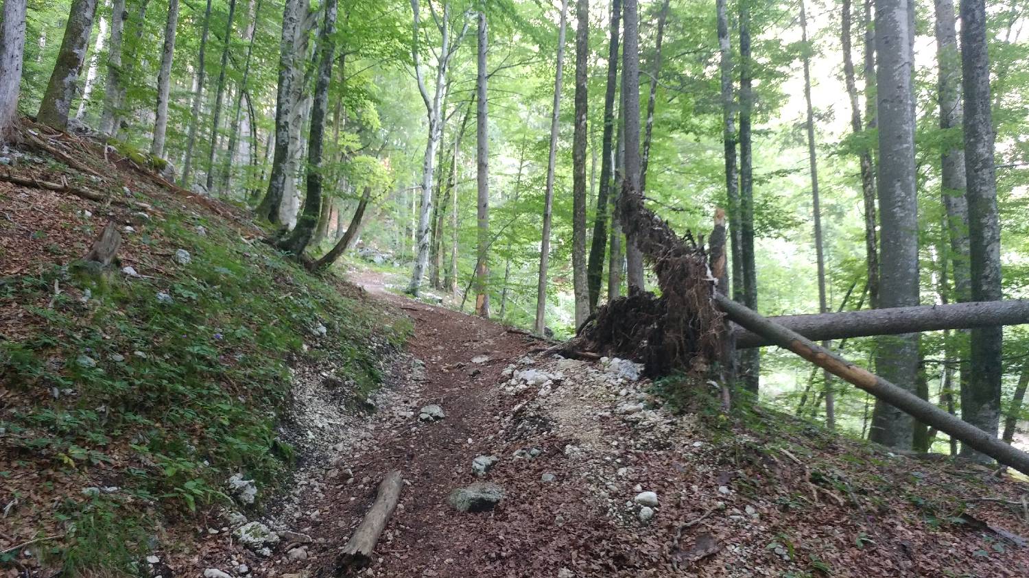 Planinski dom Savica - Triglav slika 6