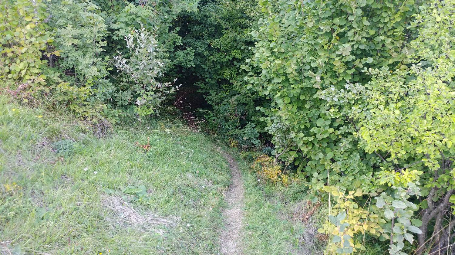 Dom na Govejku - Brunarica Osovnik slika 6