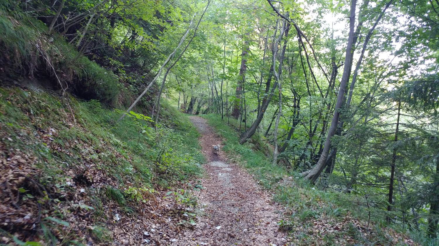 Dom na Govejku - Brunarica Osovnik slika 9