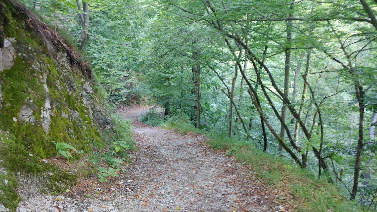 Dom na Govejku - Brunarica Osovnik slika 12