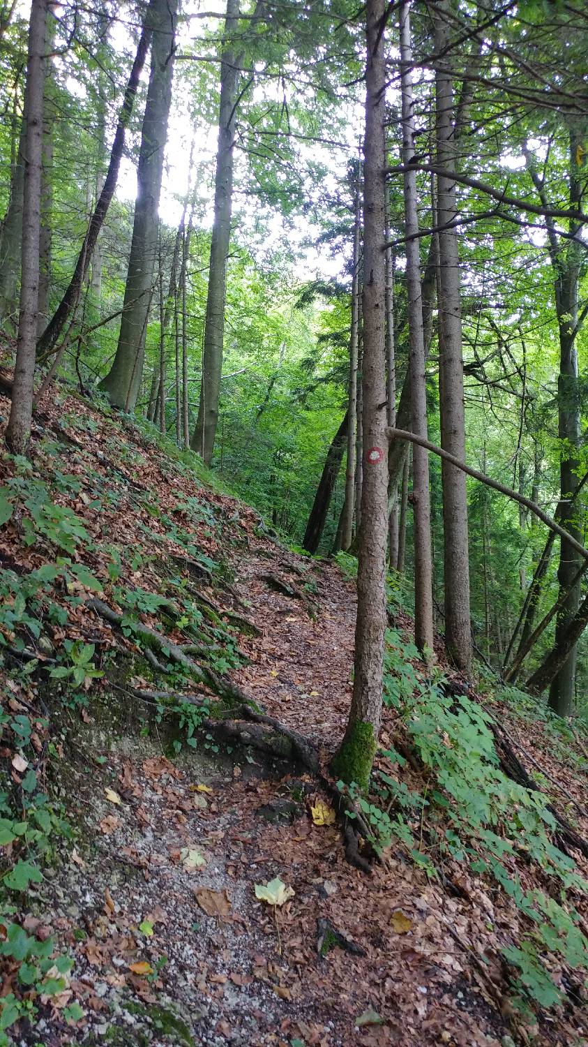 Dom na Govejku - Brunarica Osovnik slika 14