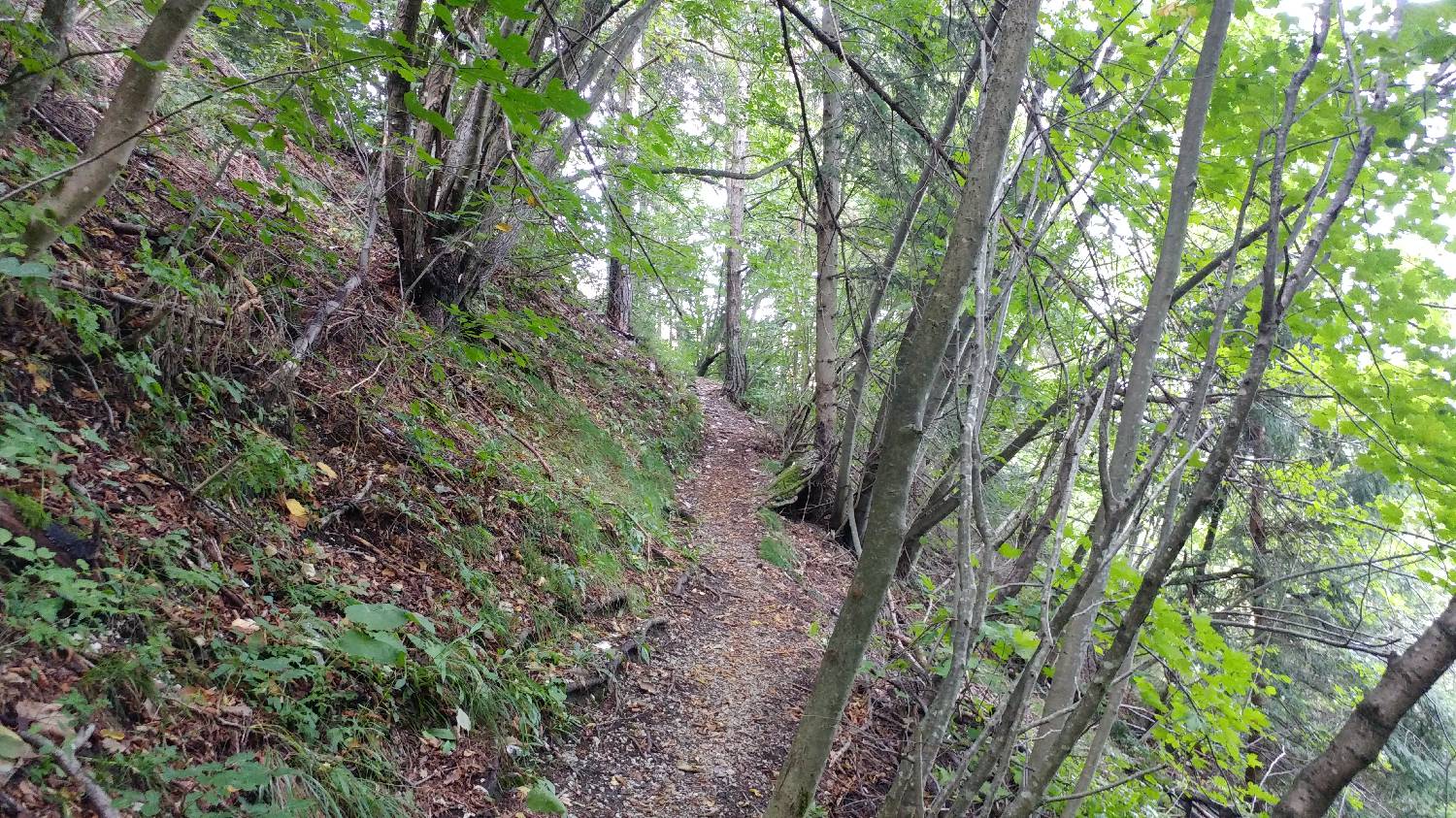 Dom na Govejku - Brunarica Osovnik slika 15