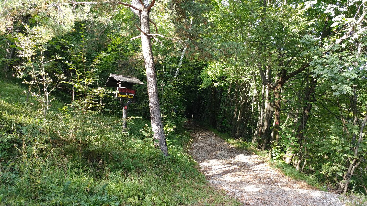Dom na Govejku - Brunarica Osovnik slika 18