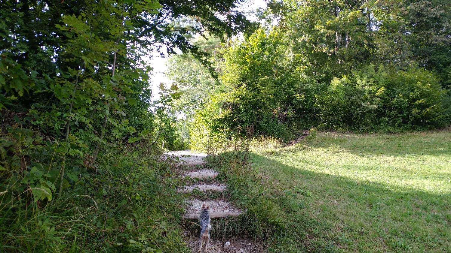 Dom na Govejku - Brunarica Osovnik slika 19