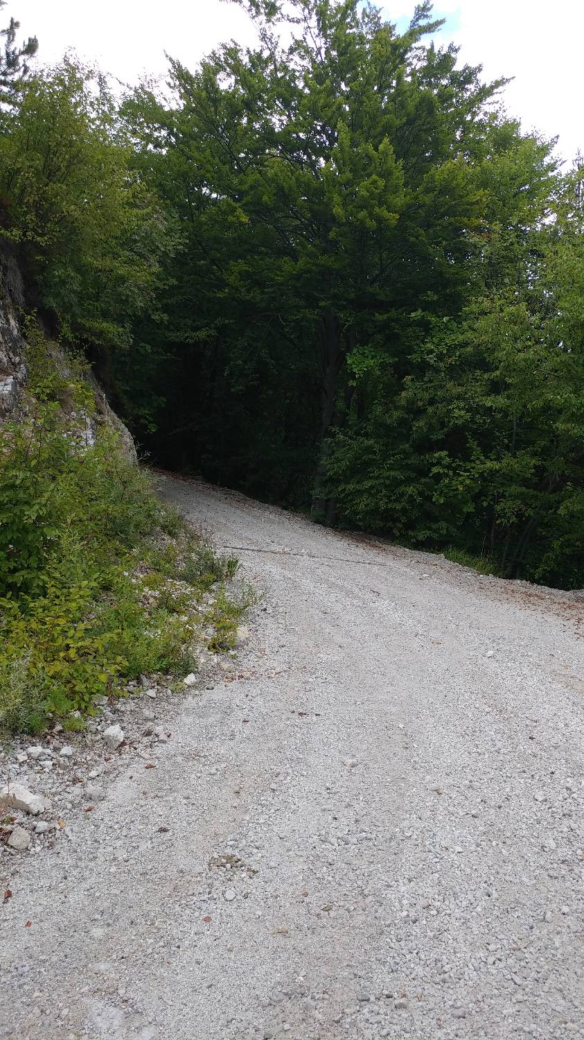 Legastja - Dom na Govejku slika 11