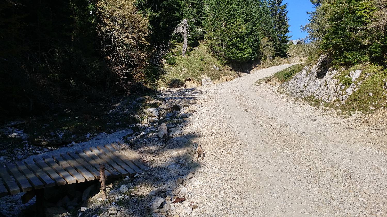 Planina Jezerca - Veliki zvoh slika 5