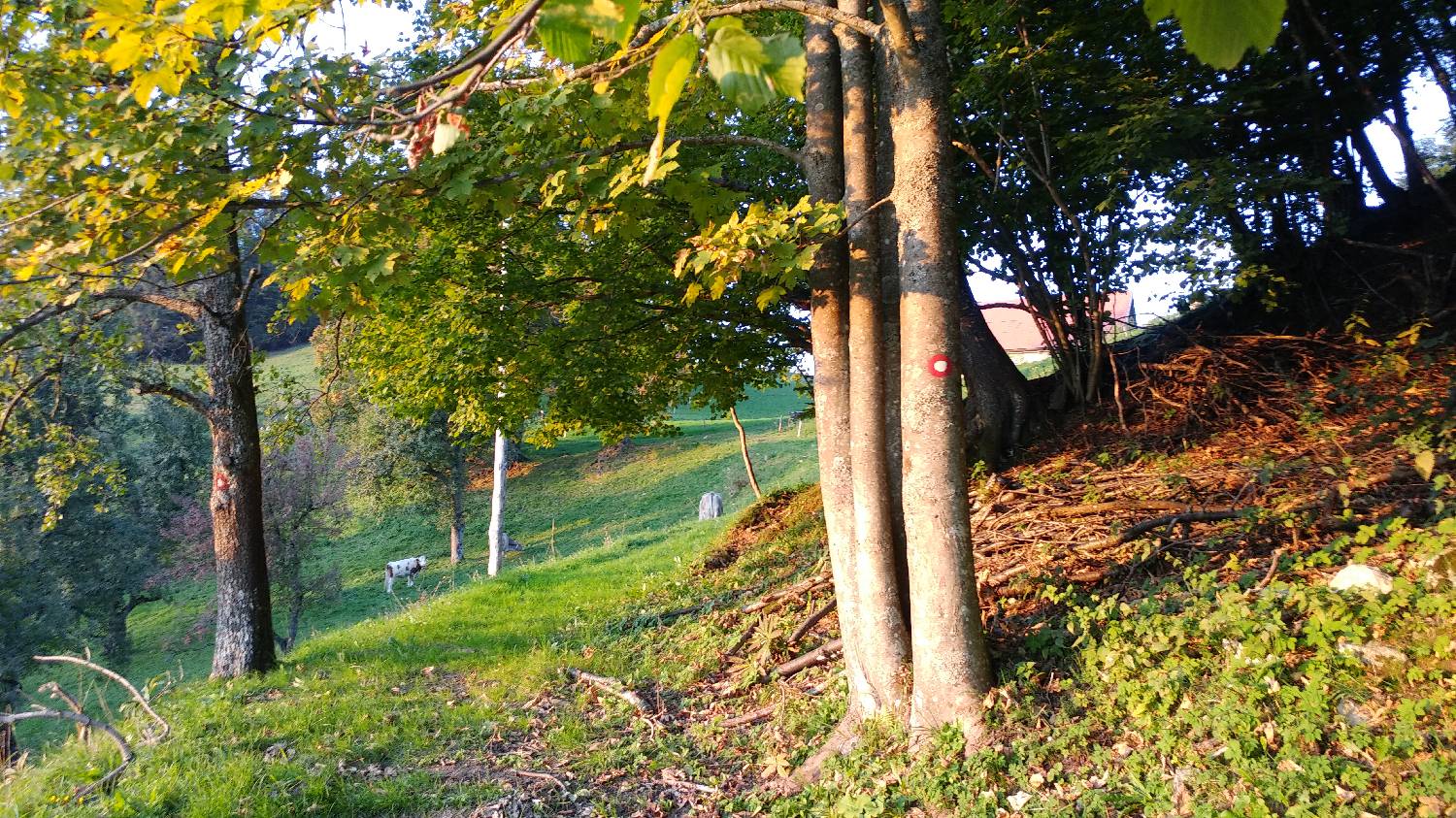 Jazne (Kanavc) - Bevkov vrh slika 21