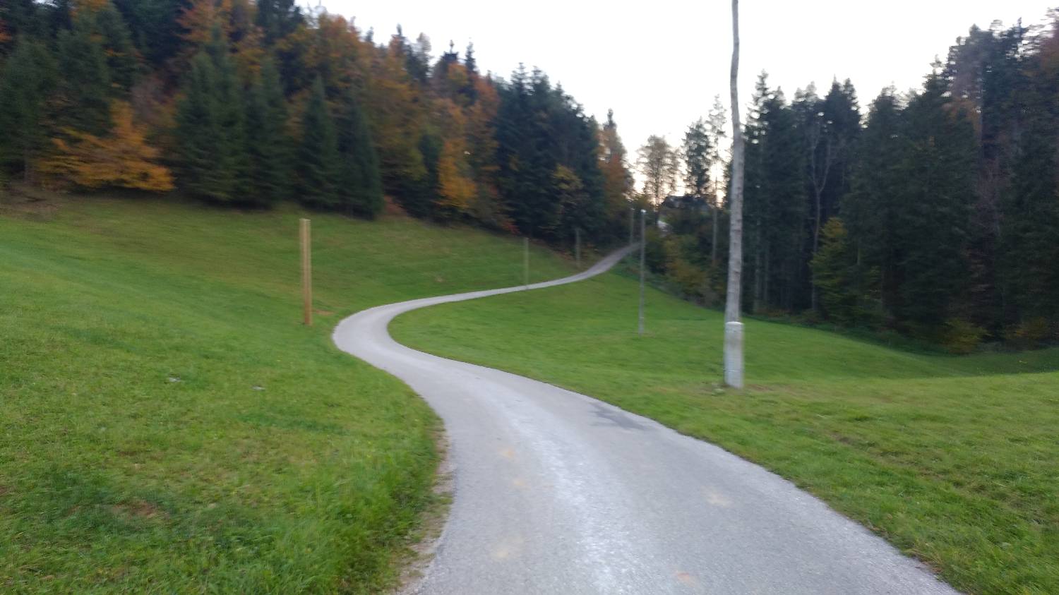 Jazne (Lanišar) - Loncmanova Sivka (Mrzli vrh) slika 3