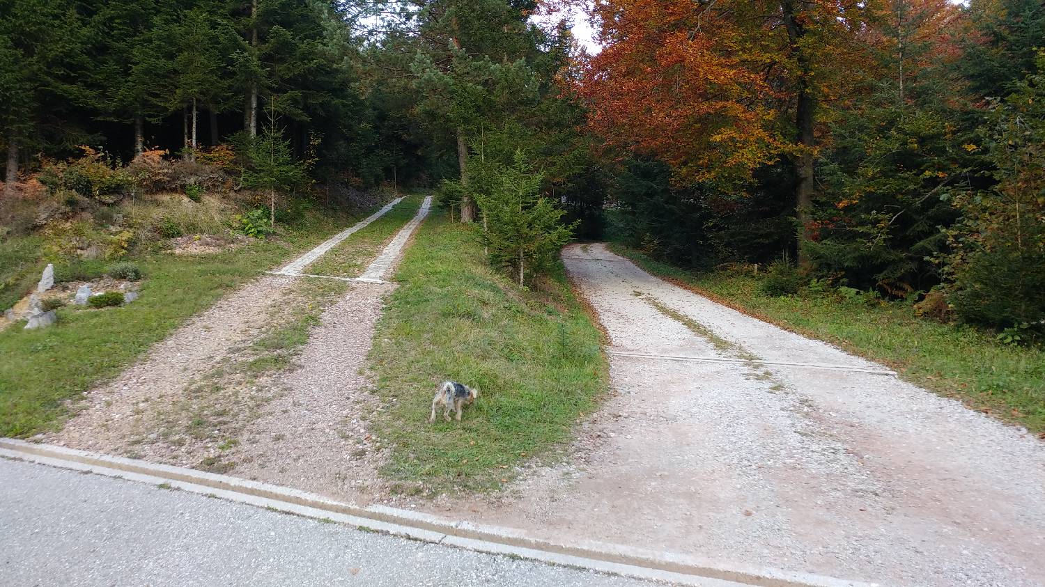 Jazne (Lanišar) - Loncmanova Sivka (Mrzli vrh) slika 5