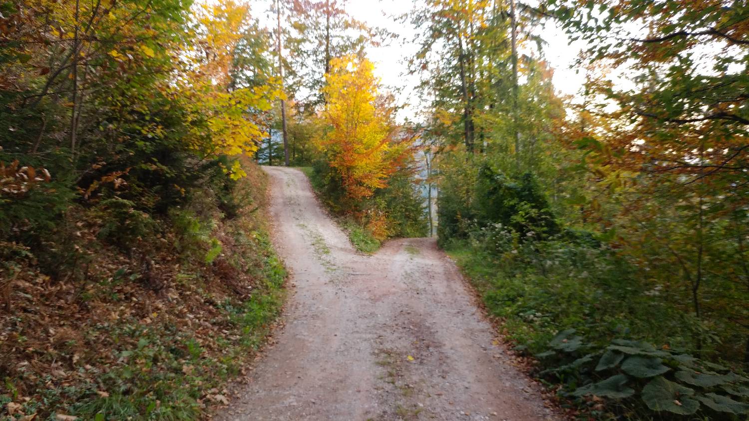 Jazne (Lanišar) - Loncmanova Sivka (Mrzli vrh) slika 6