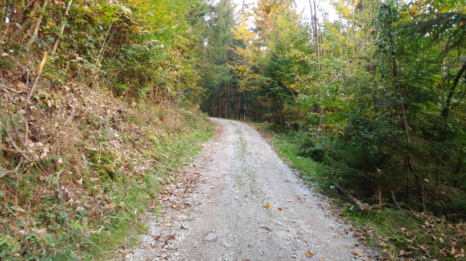 Jazne (Lanišar) - Loncmanova Sivka (Mrzli vrh) slika 7