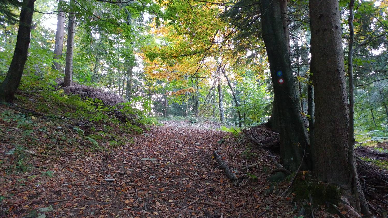 Jazne (Lanišar) - Loncmanova Sivka (Mrzli vrh) slika 12