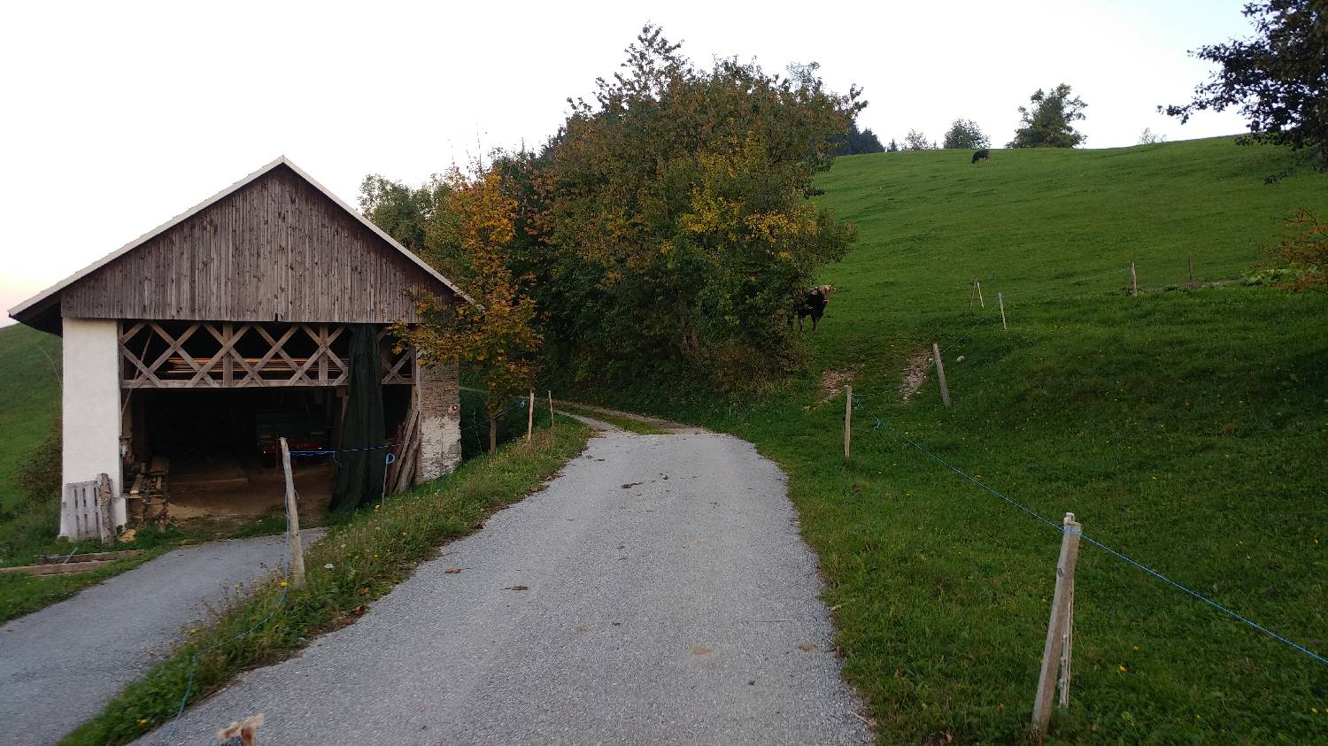 Jazne (Lanišar) - Loncmanova Sivka (Mrzli vrh) slika 15