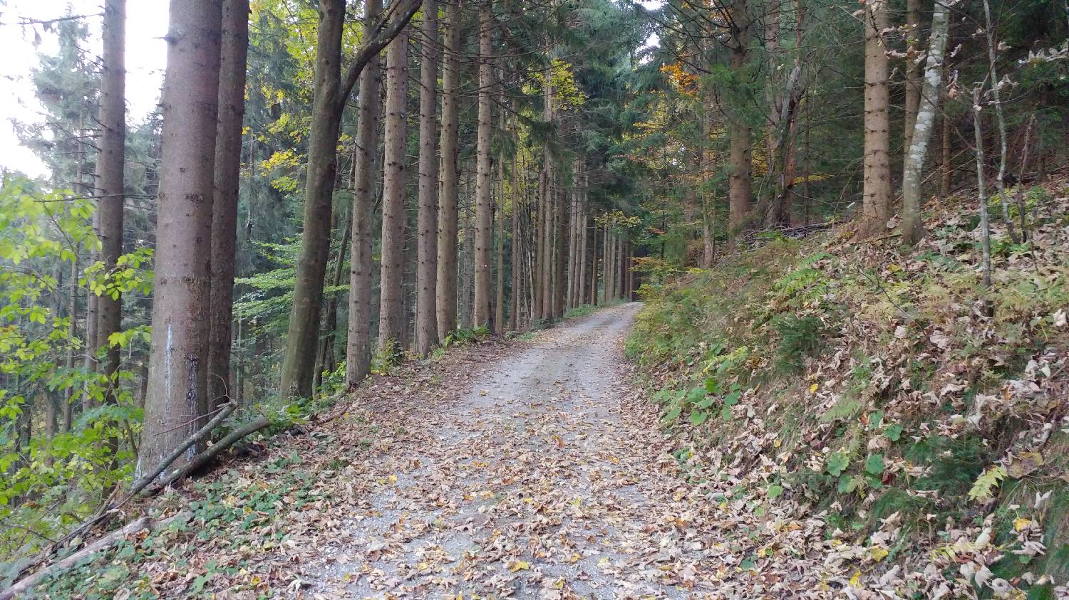 Jazne (Lanišar) - Loncmanova Sivka (Mrzli vrh) slika 17