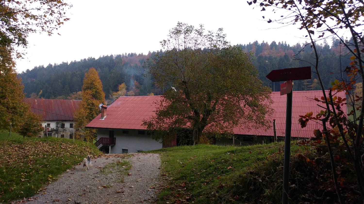 Jazne (Lanišar) - Loncmanova Sivka (Mrzli vrh) slika 18