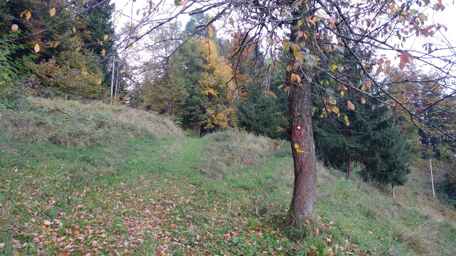 Jazne (Lanišar) - Loncmanova Sivka (Mrzli vrh) slika 19
