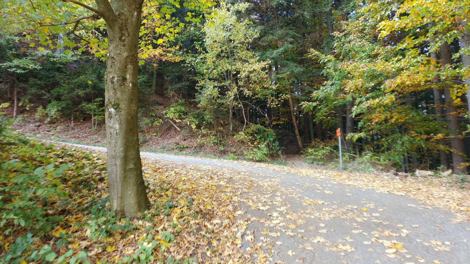 Planinski dom Petrovo Brdo - Dom na Poreznu slika 6
