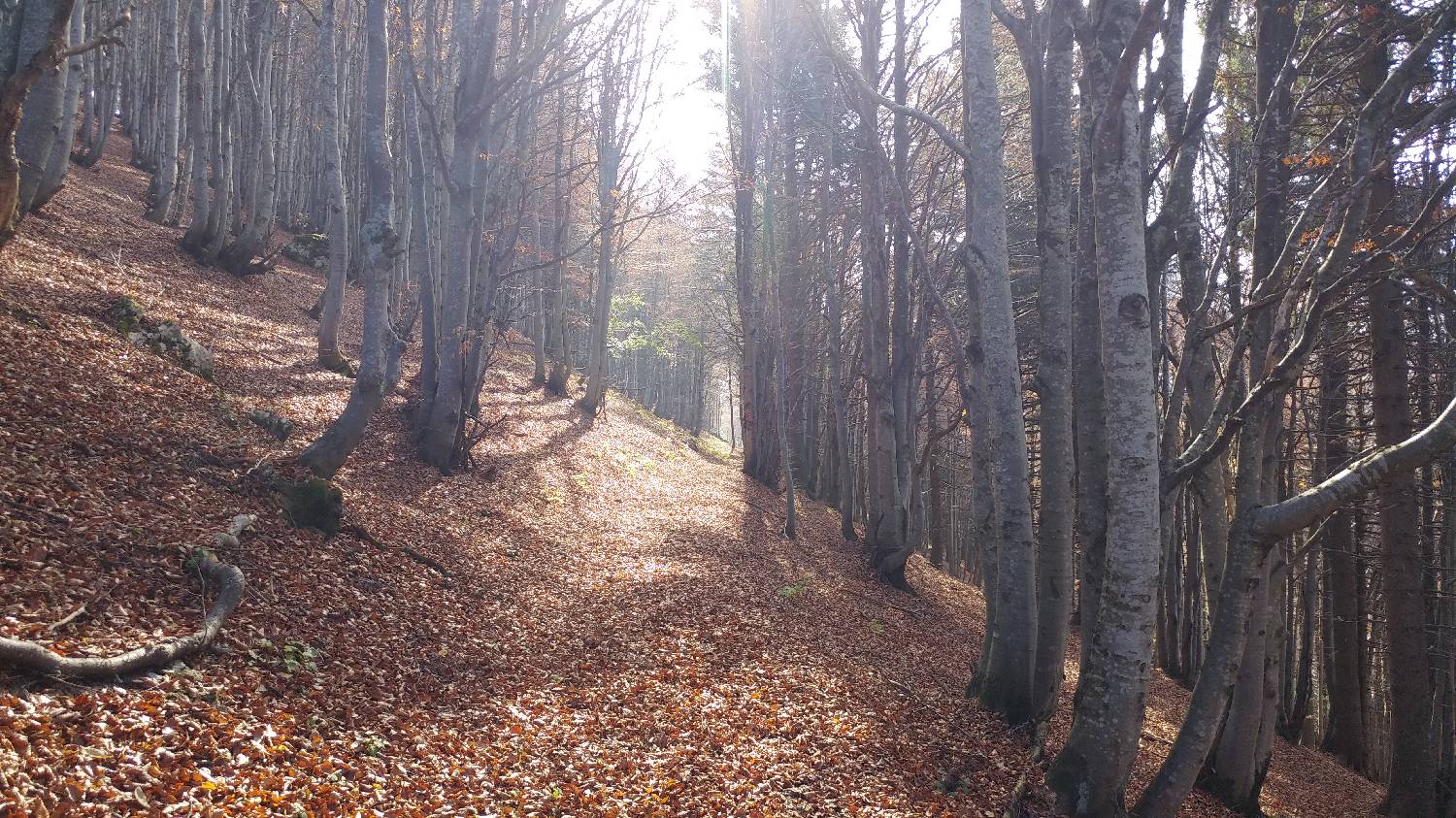 Planinski dom Petrovo Brdo - Dom na Poreznu slika 14