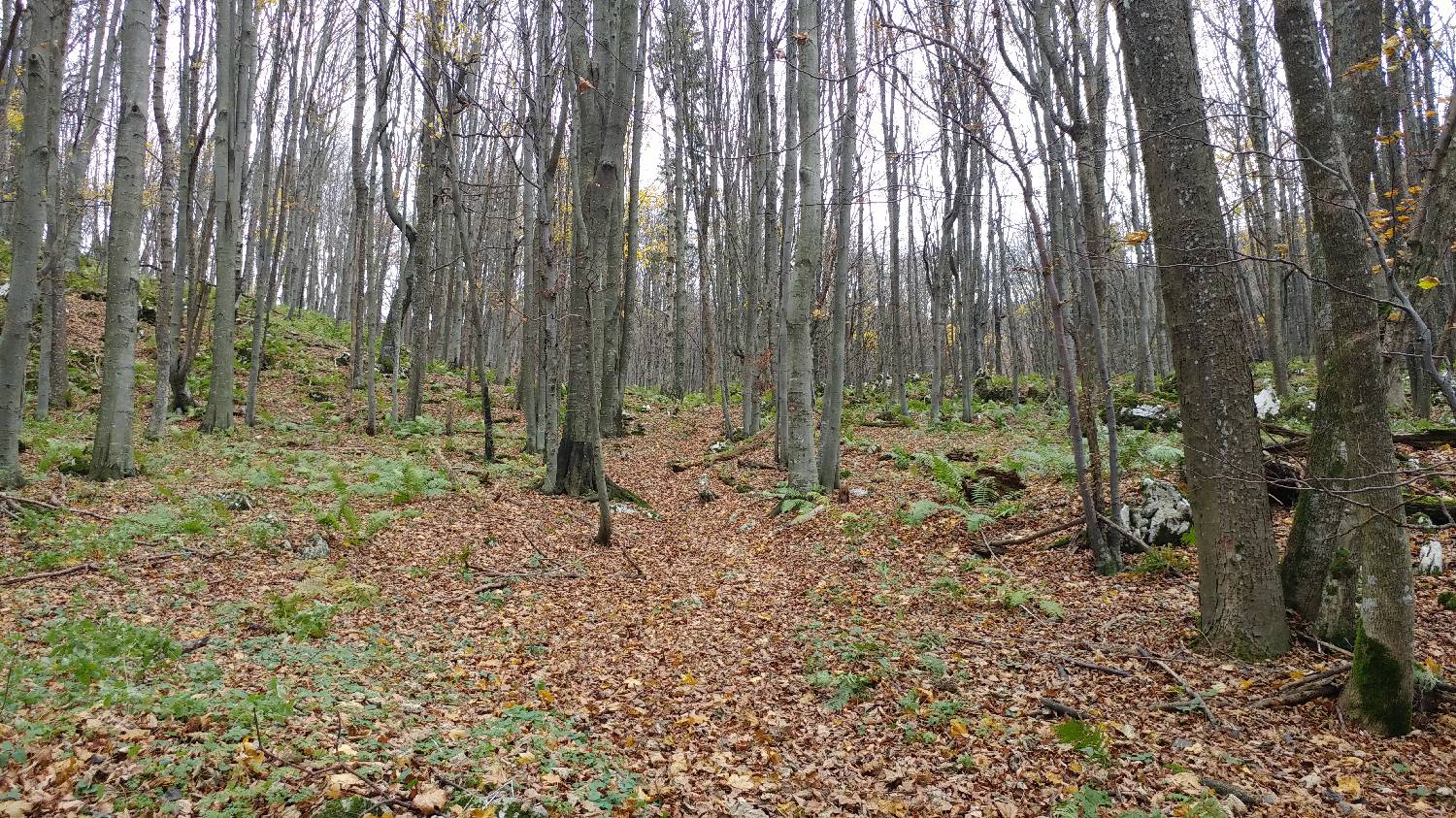 Lontovž - Kum slika 9