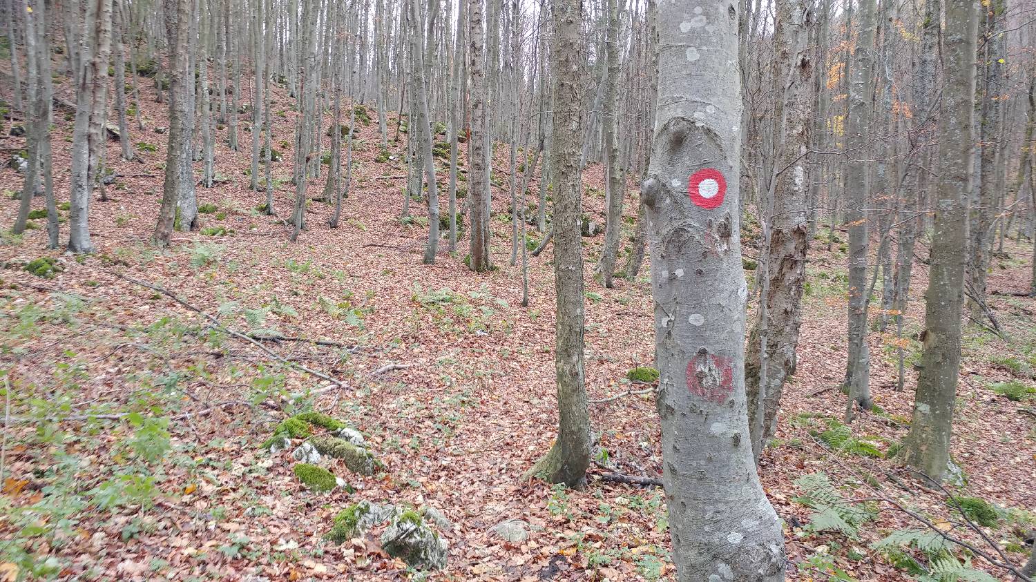 Lontovž - Kum slika 10