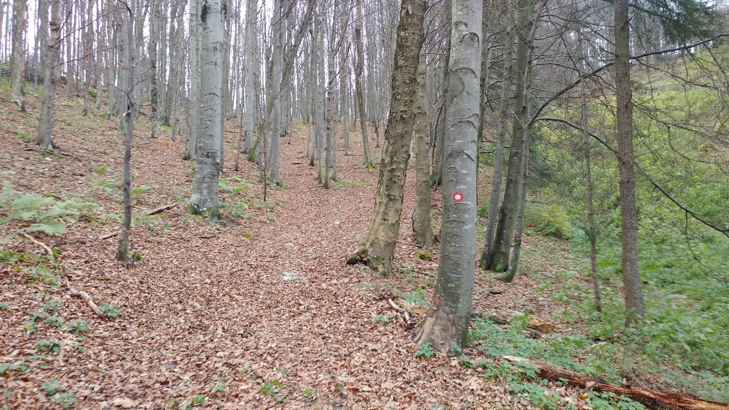 Lontovž - Kum slika 11