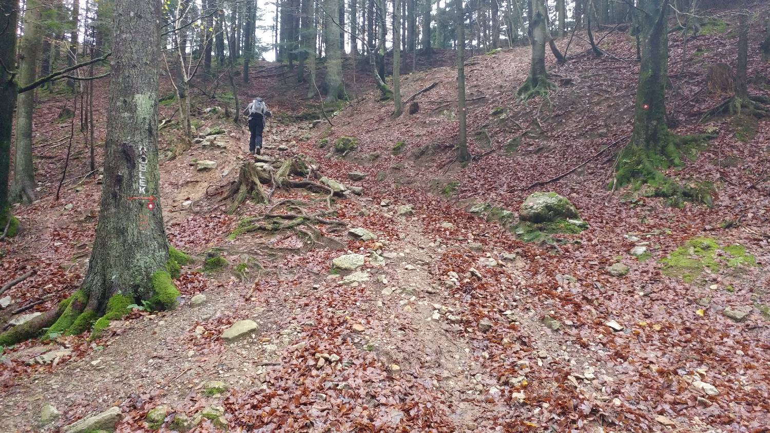 Dom v Dragi - Veliki vrh (Begunjščica) slika 7