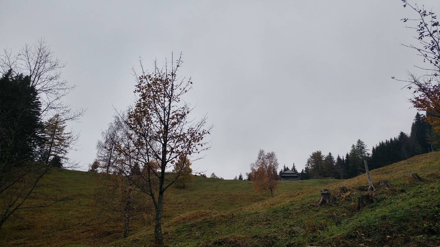 Dom v Dragi - Planina Planinca slika 14