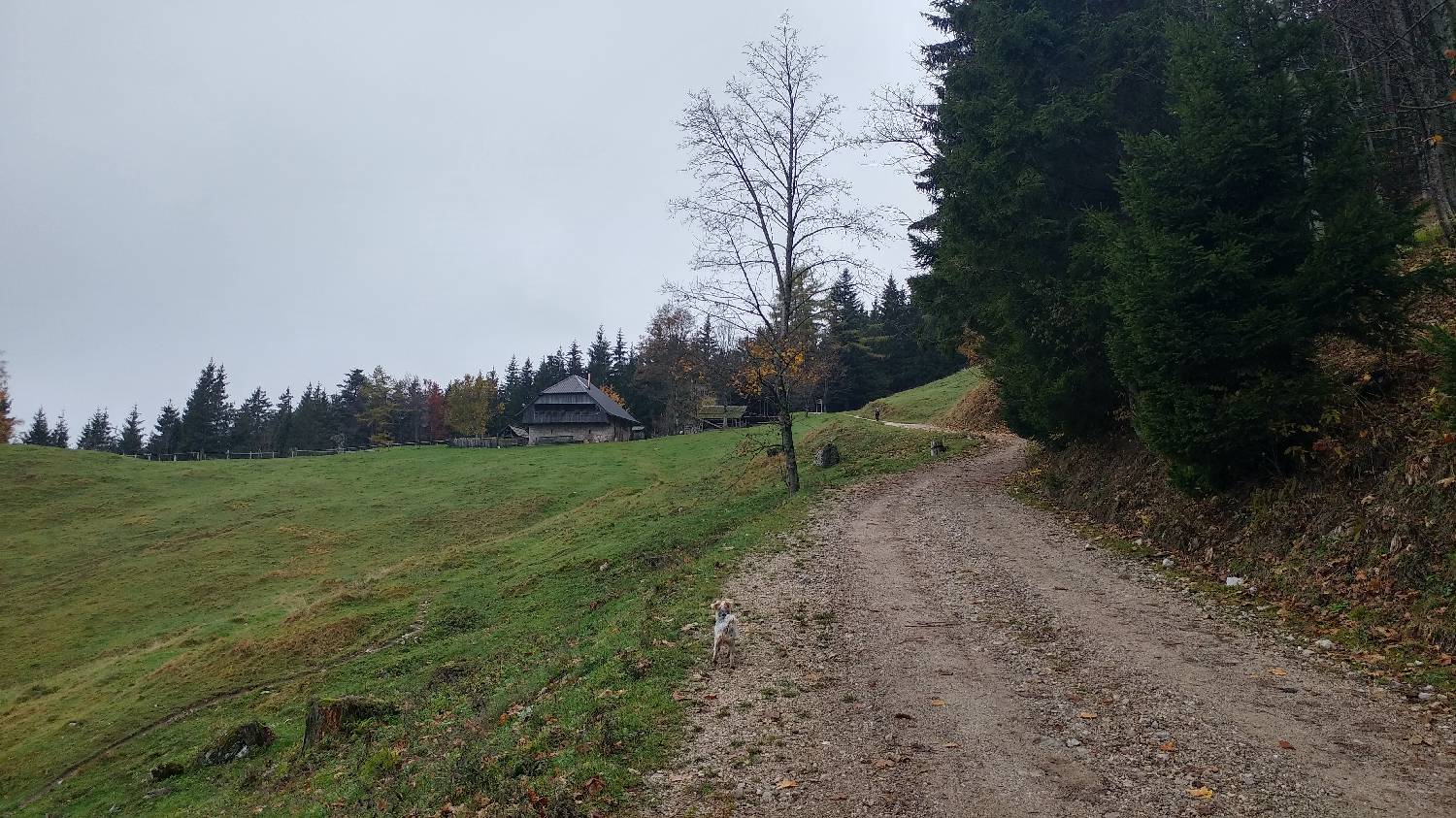 Dom v Dragi - Planina Planinca slika 16