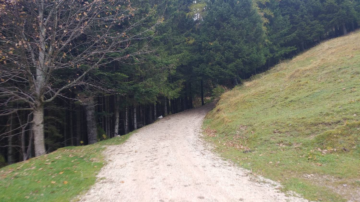 Dom v Dragi - Tomčeva koča na Poljški planini slika 17