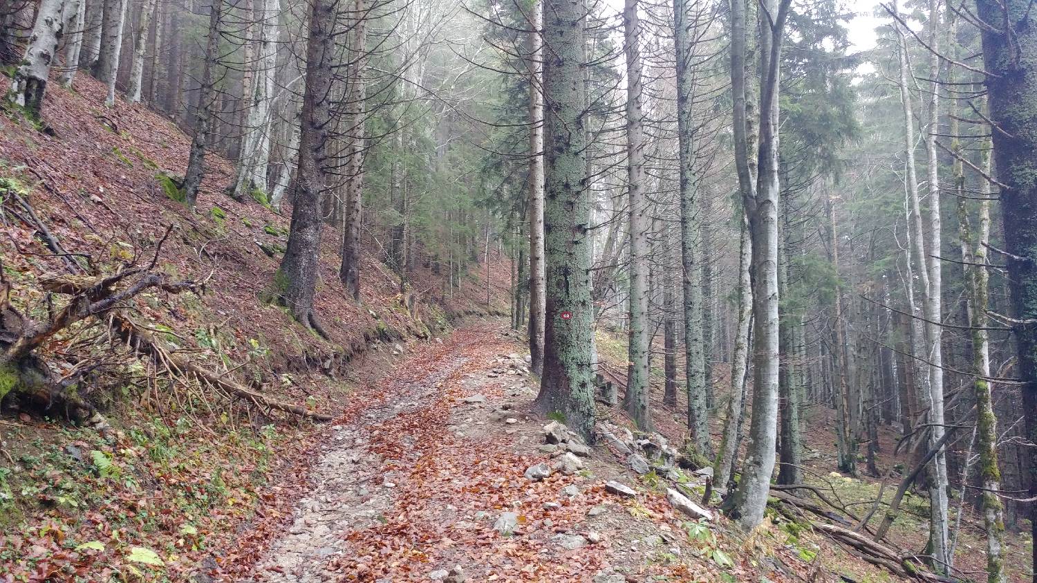 Dom v Dragi - Roblekov dom na Begunjščici slika 25