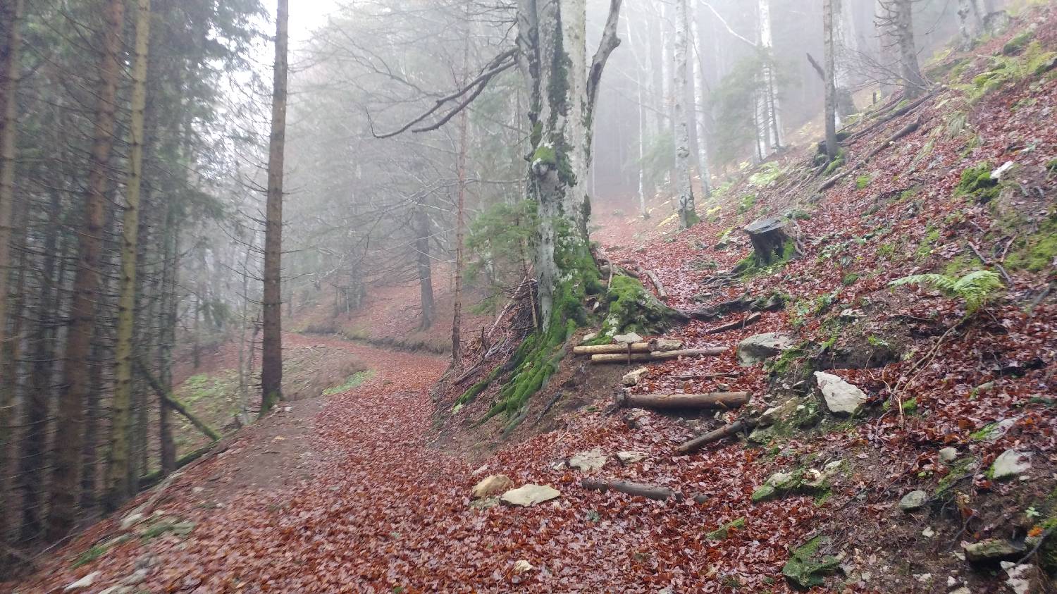 Dom v Dragi - Roblekov dom na Begunjščici slika 26