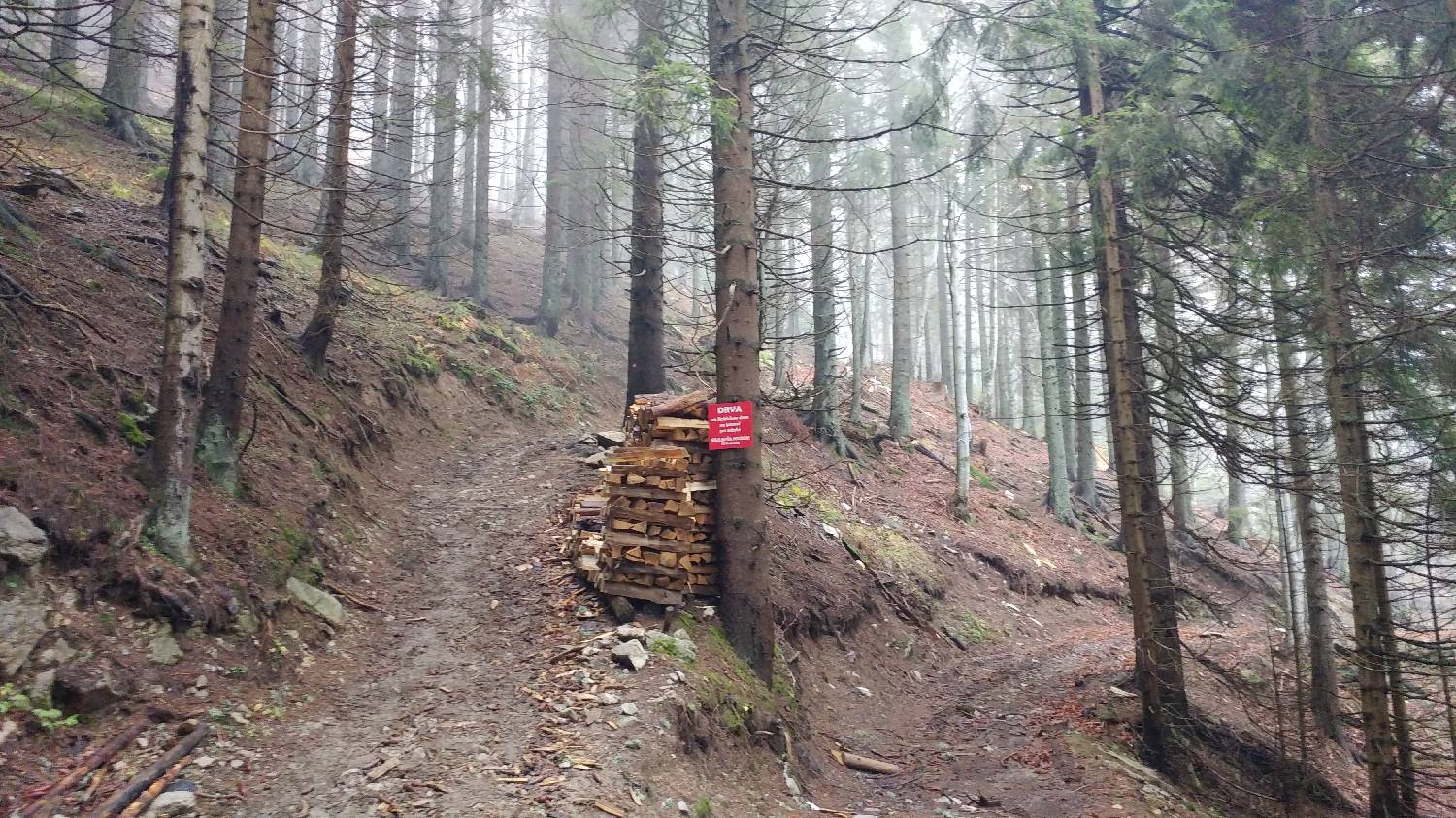 Dom v Dragi - Veliki vrh (Begunjščica) slika 28